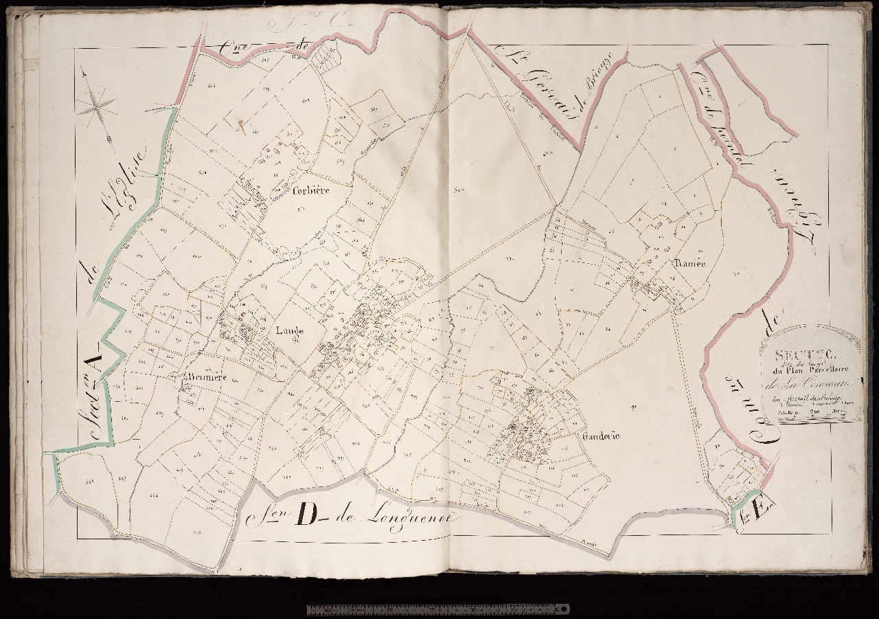 Section C