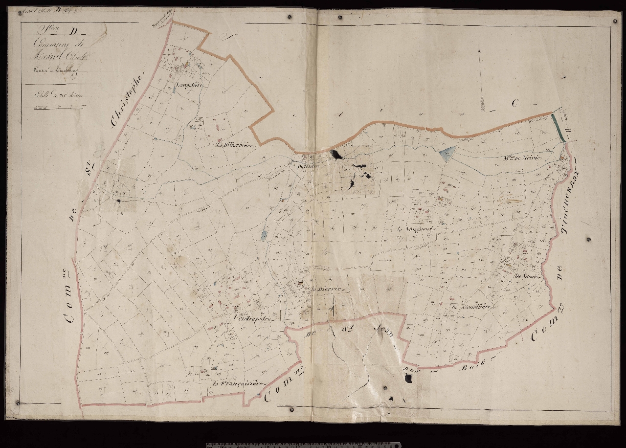 Section D