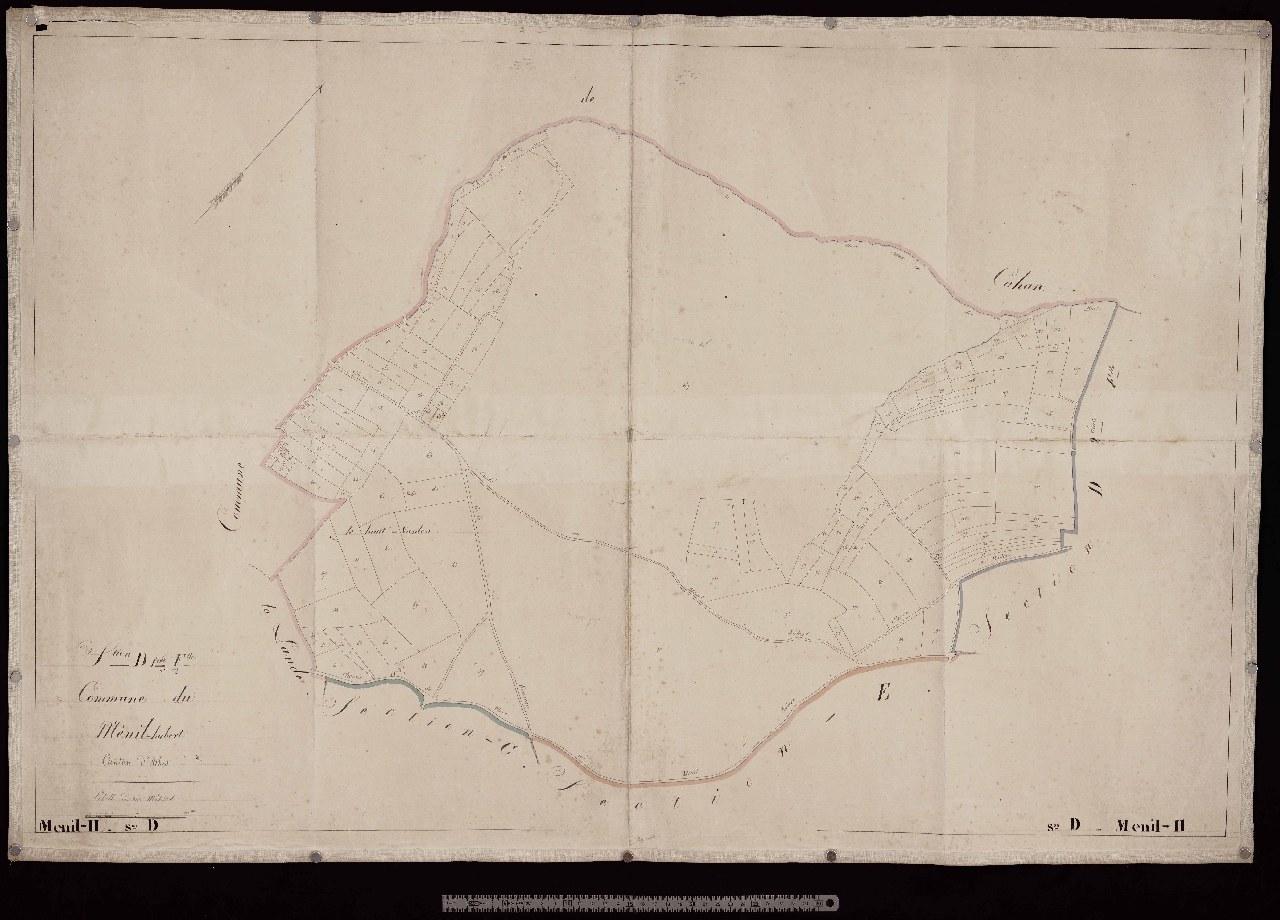 Section D1