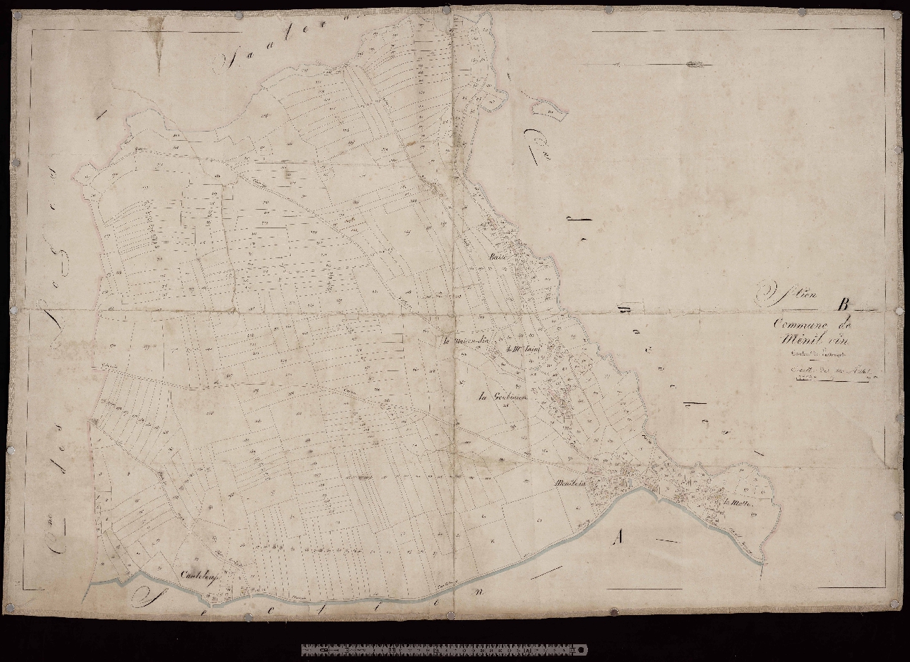 Section B