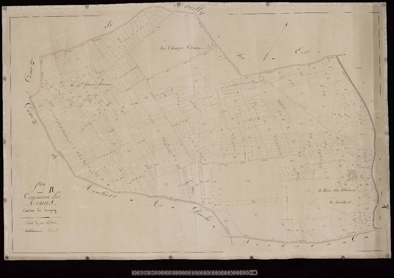 Section B