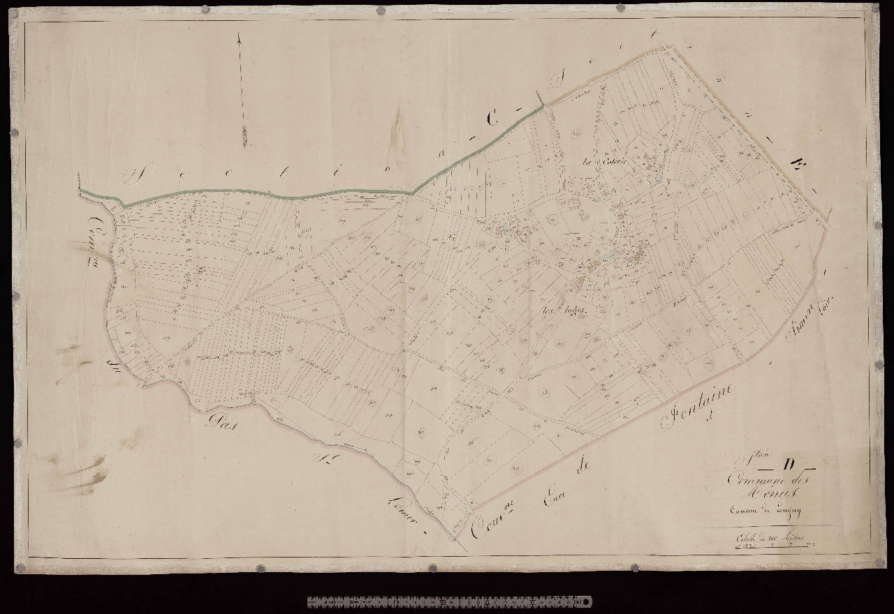 Section D