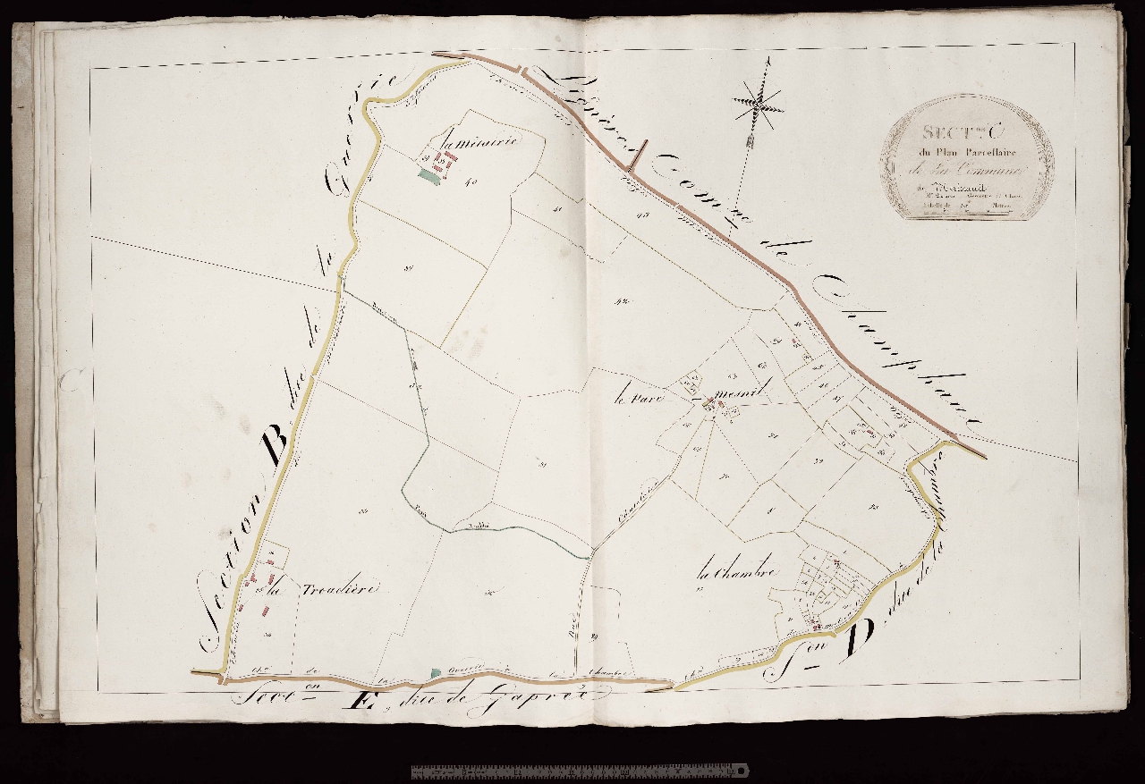 Section C