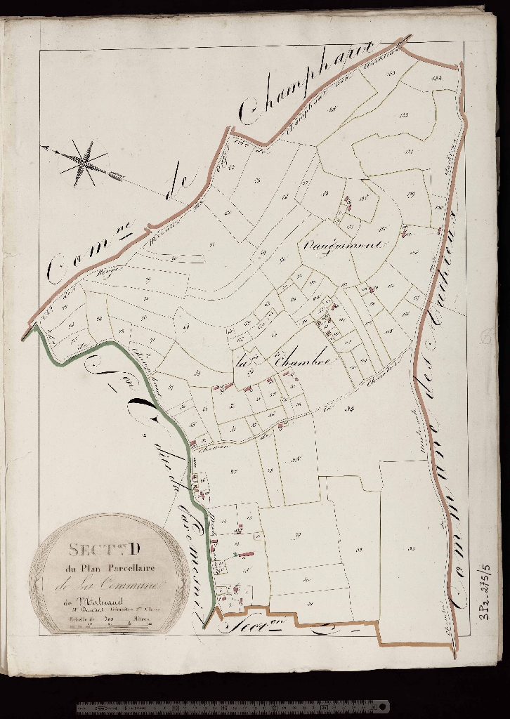 Section D