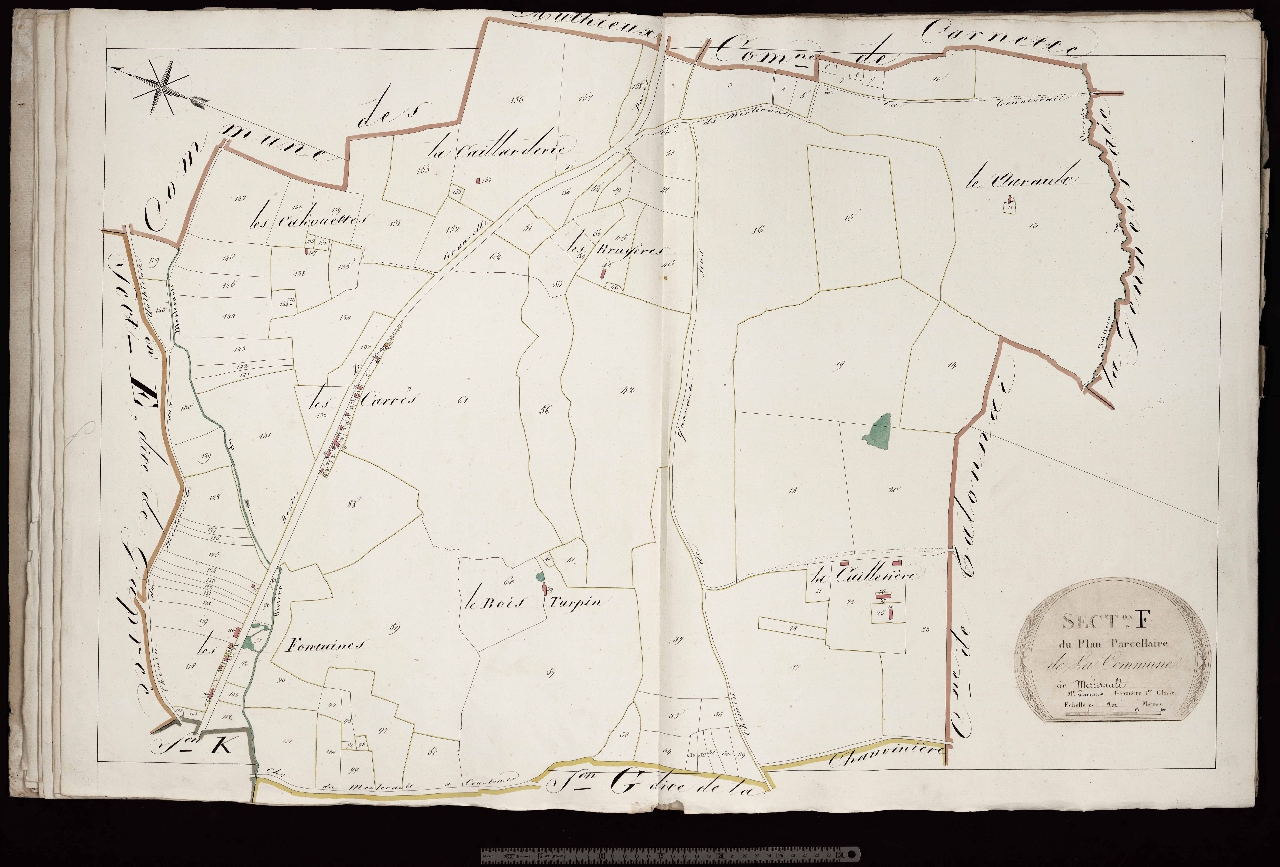 Section F