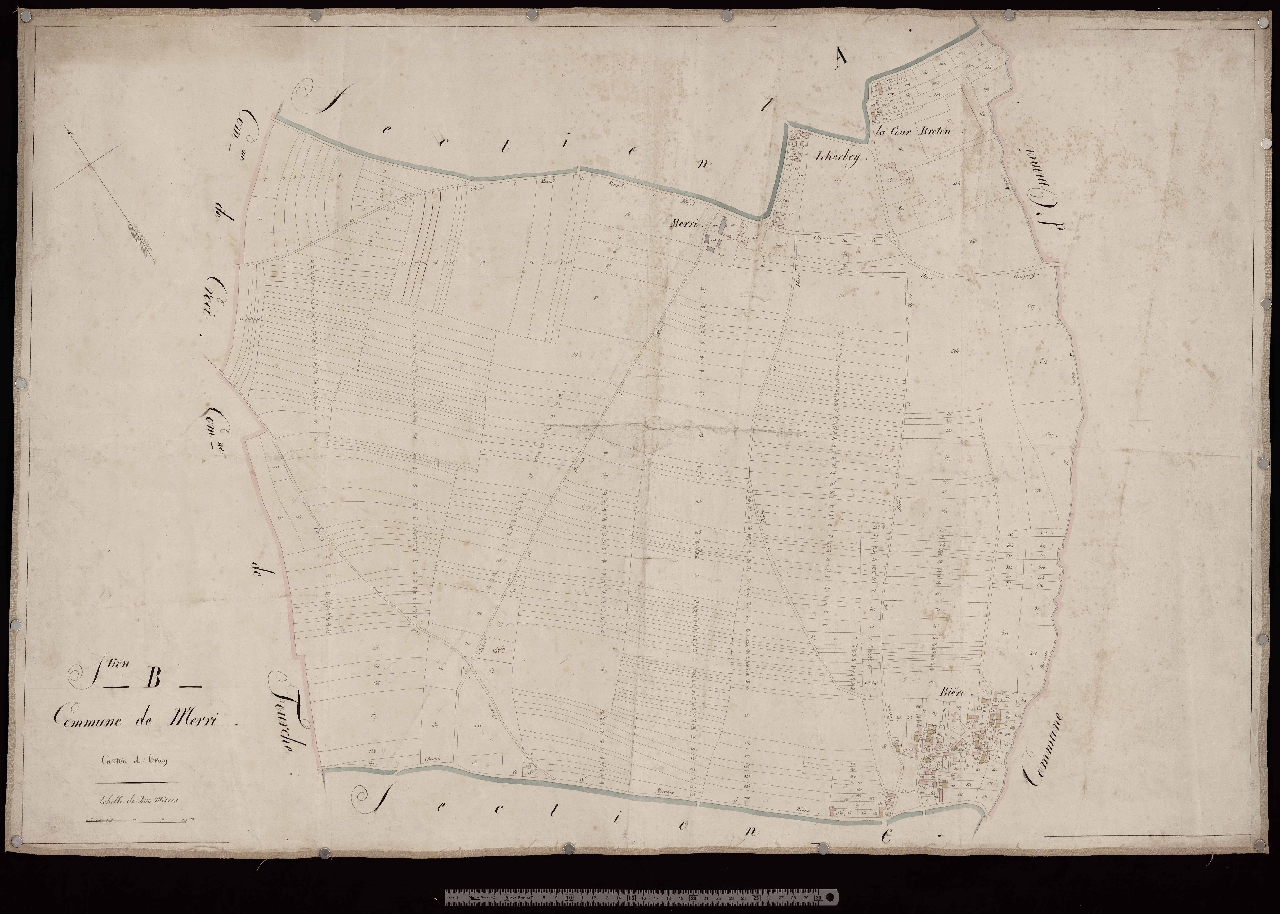 Section B