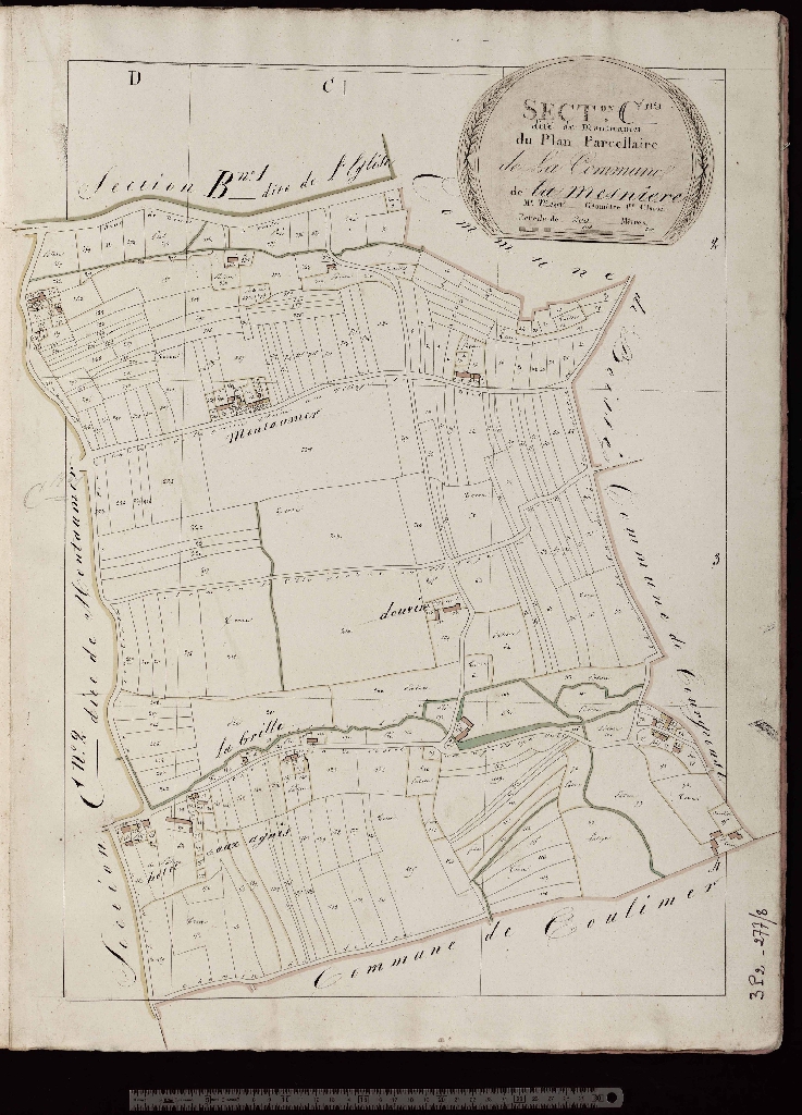 Section C1
