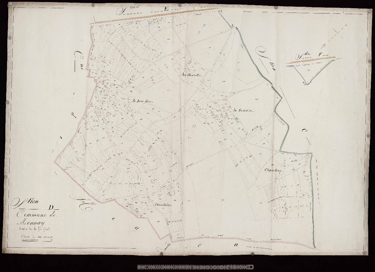 Section D