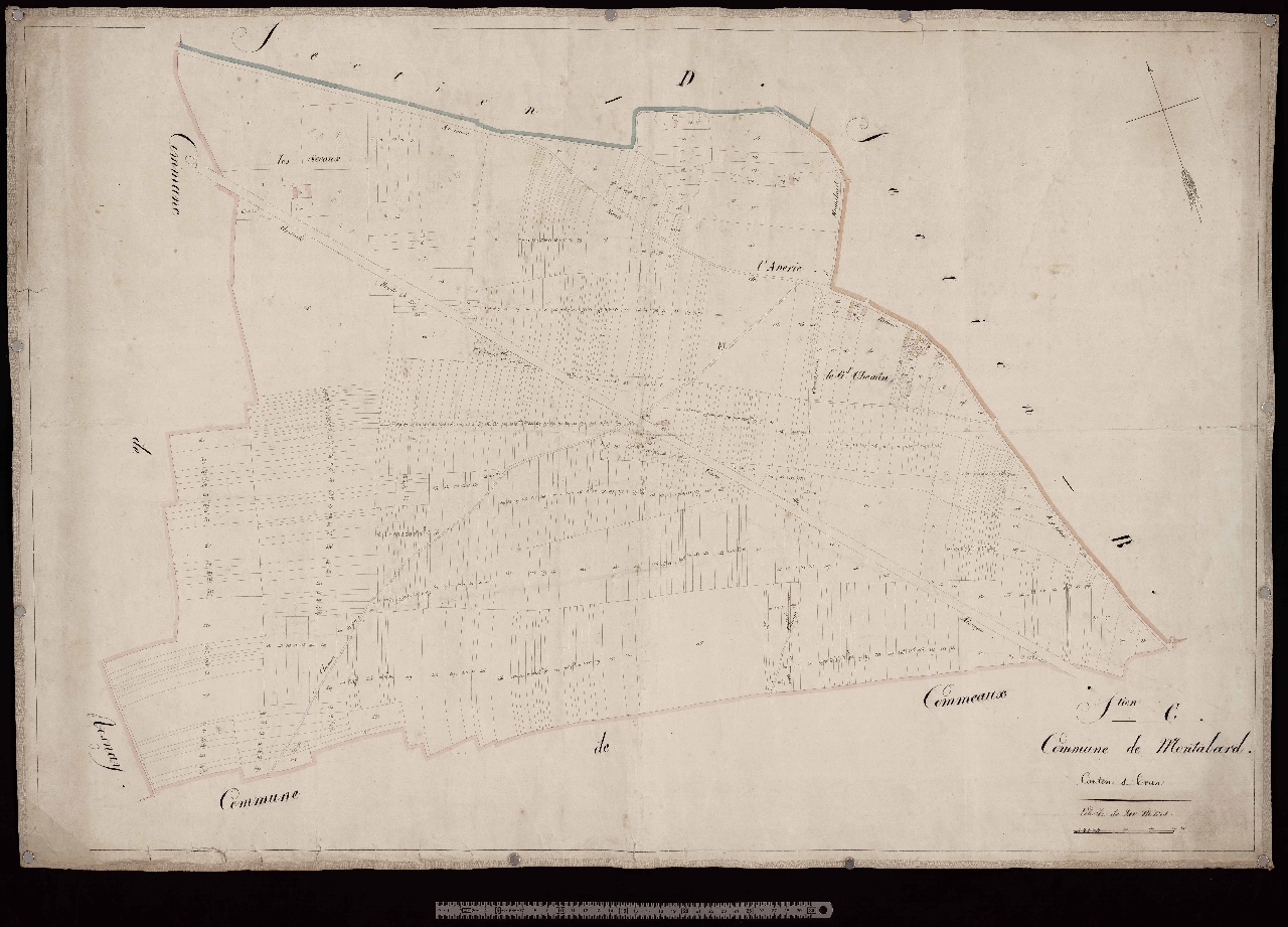 Section C