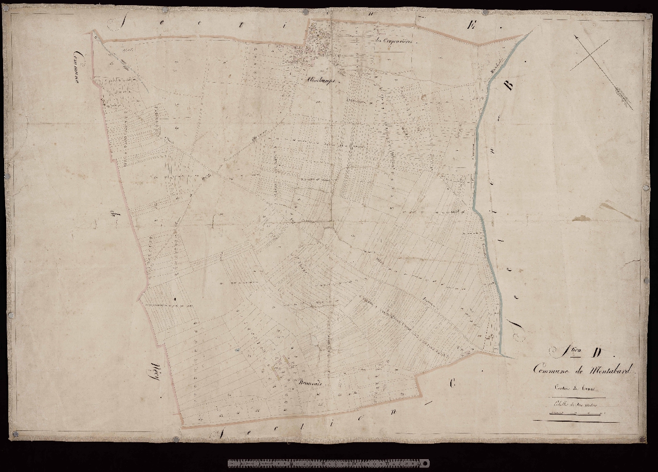 Section D