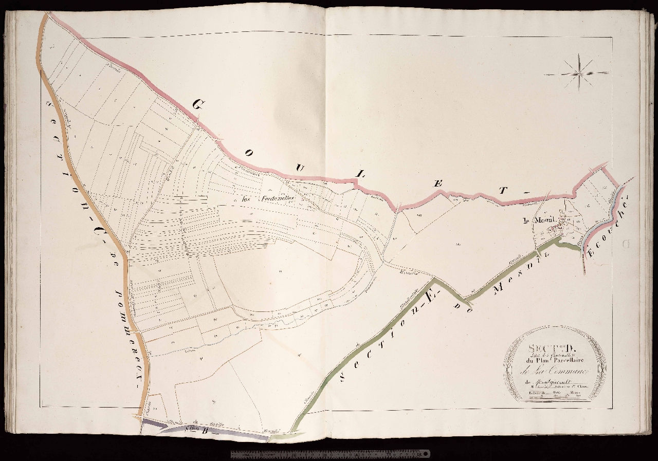 Section D