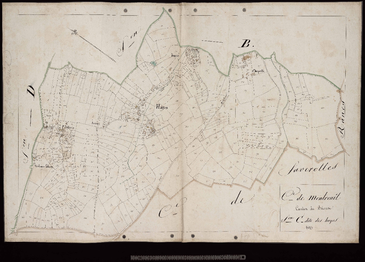 Section C