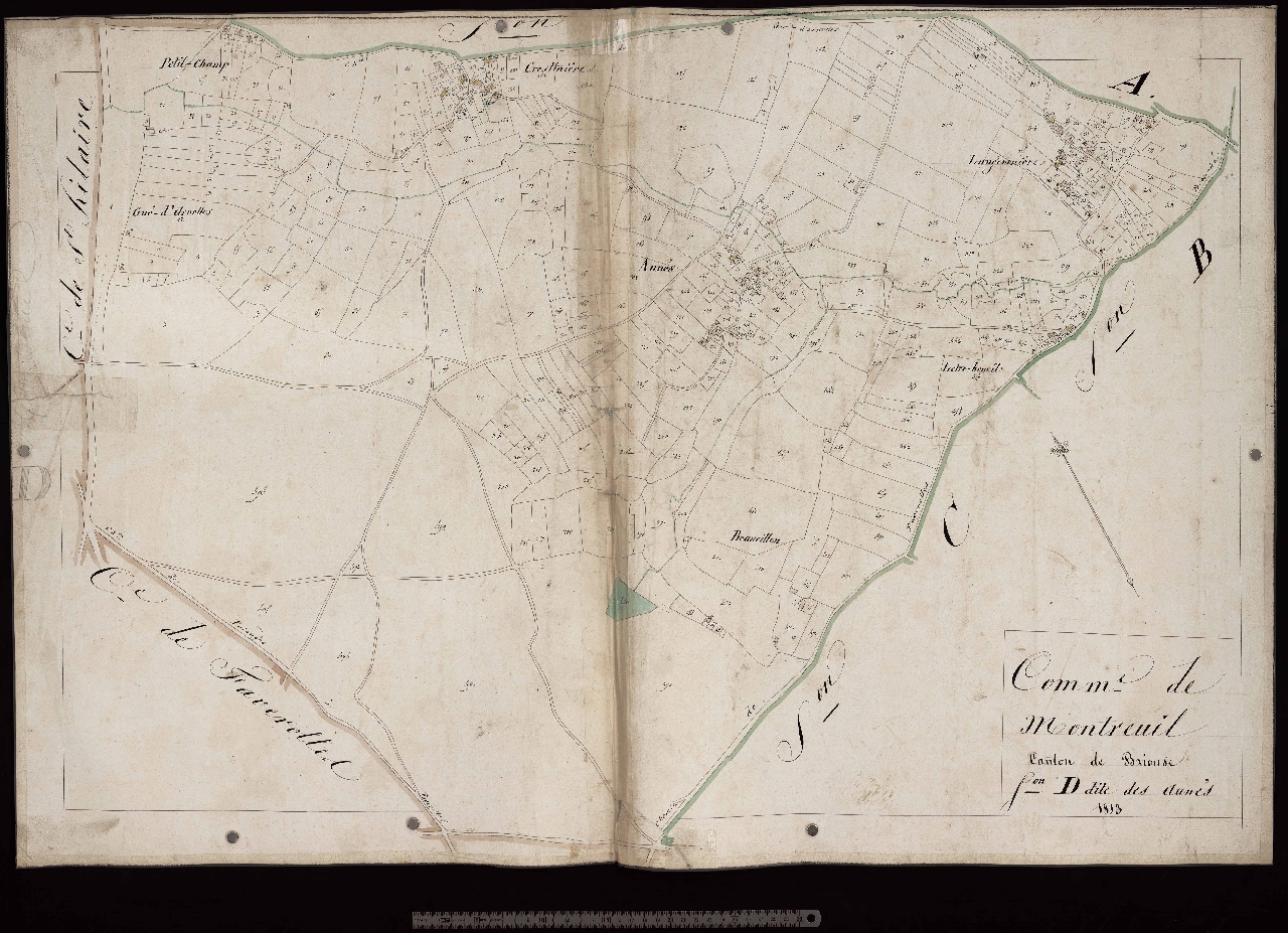 Section D