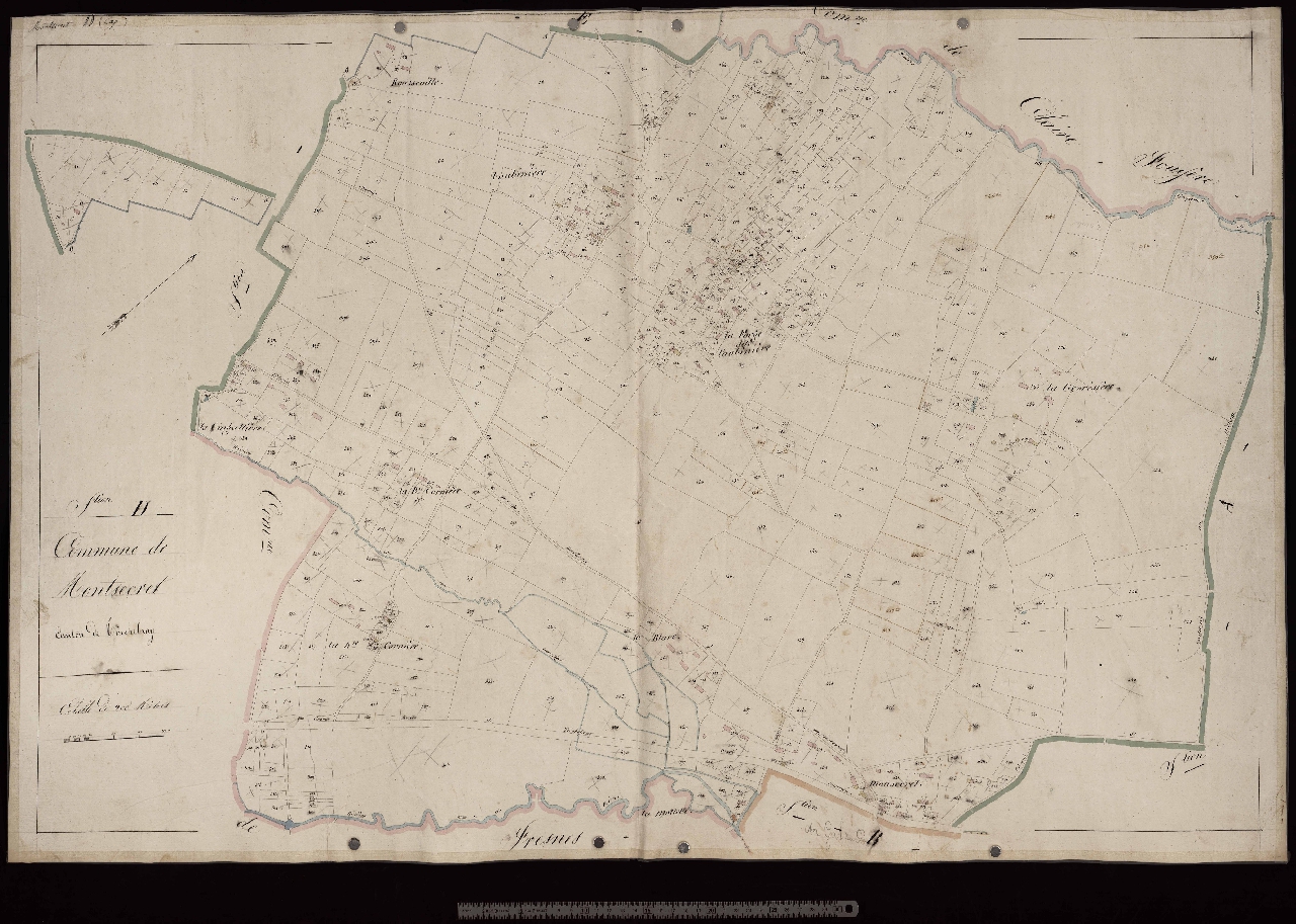 Section D