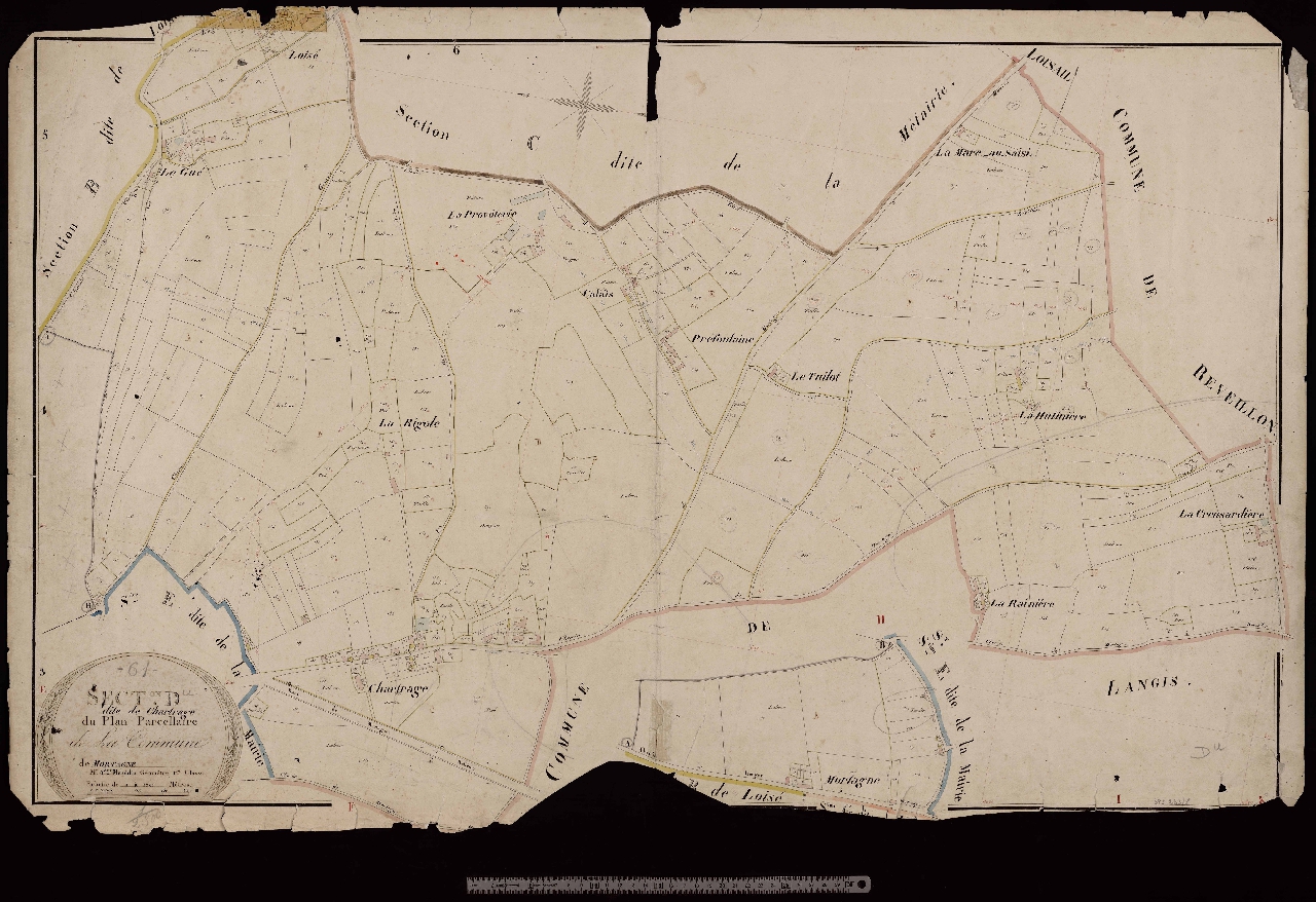 Section D