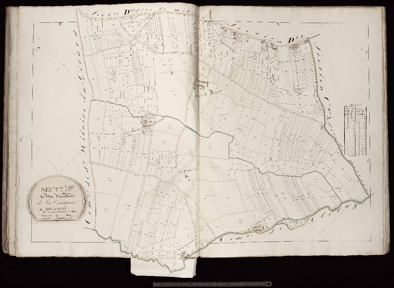 Section D1
