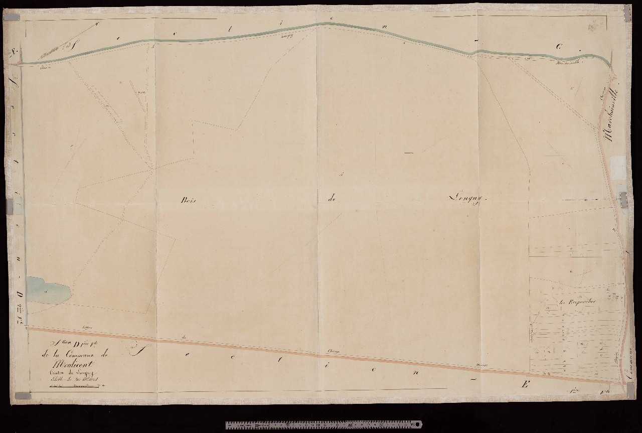 Section D1
