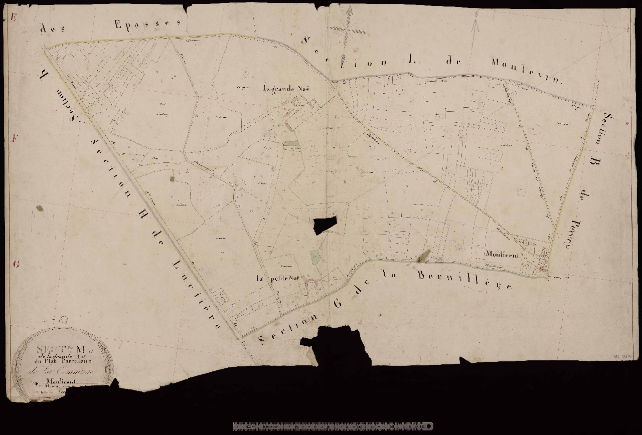 Section M