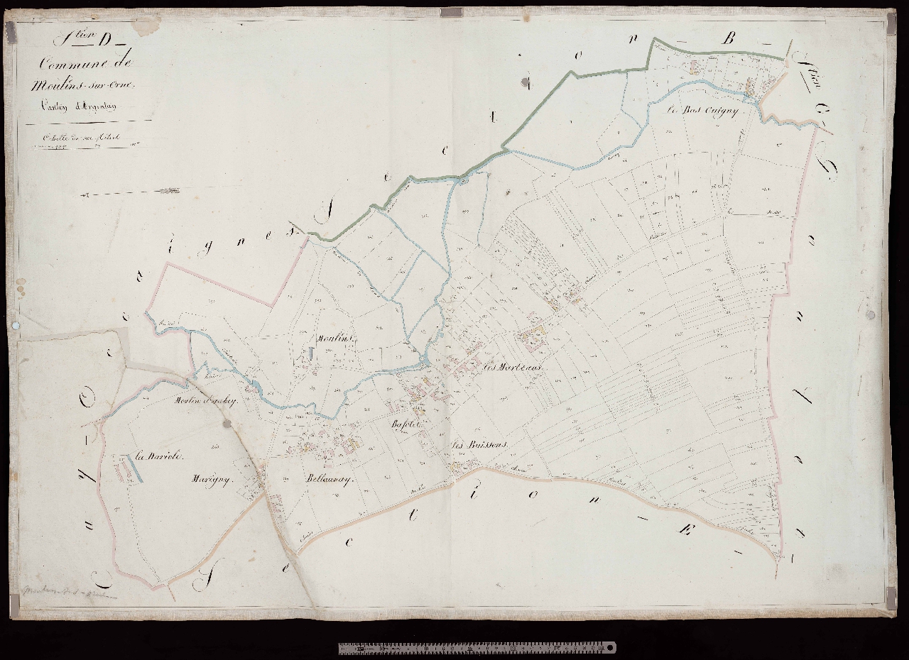 Section D