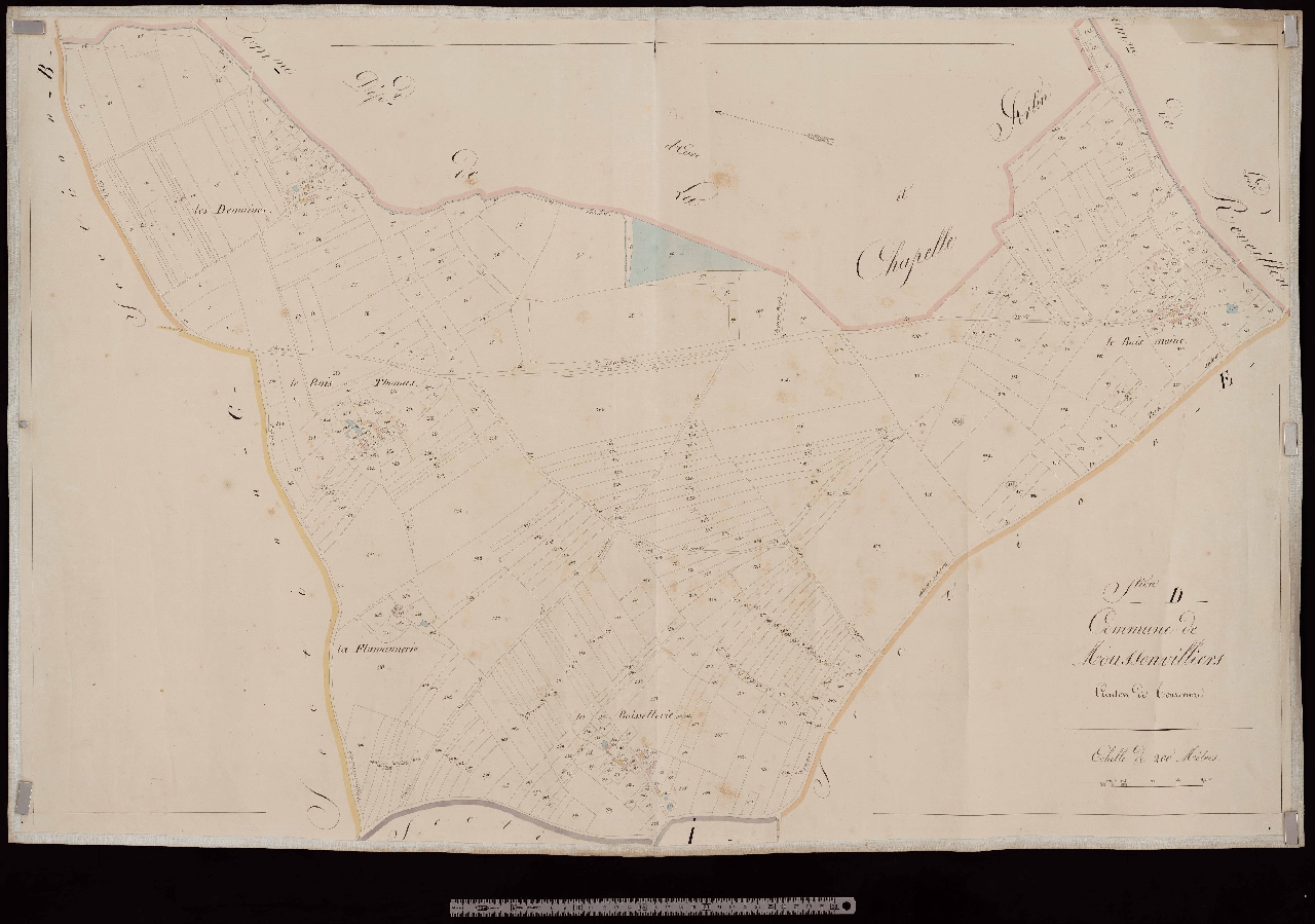 Section D