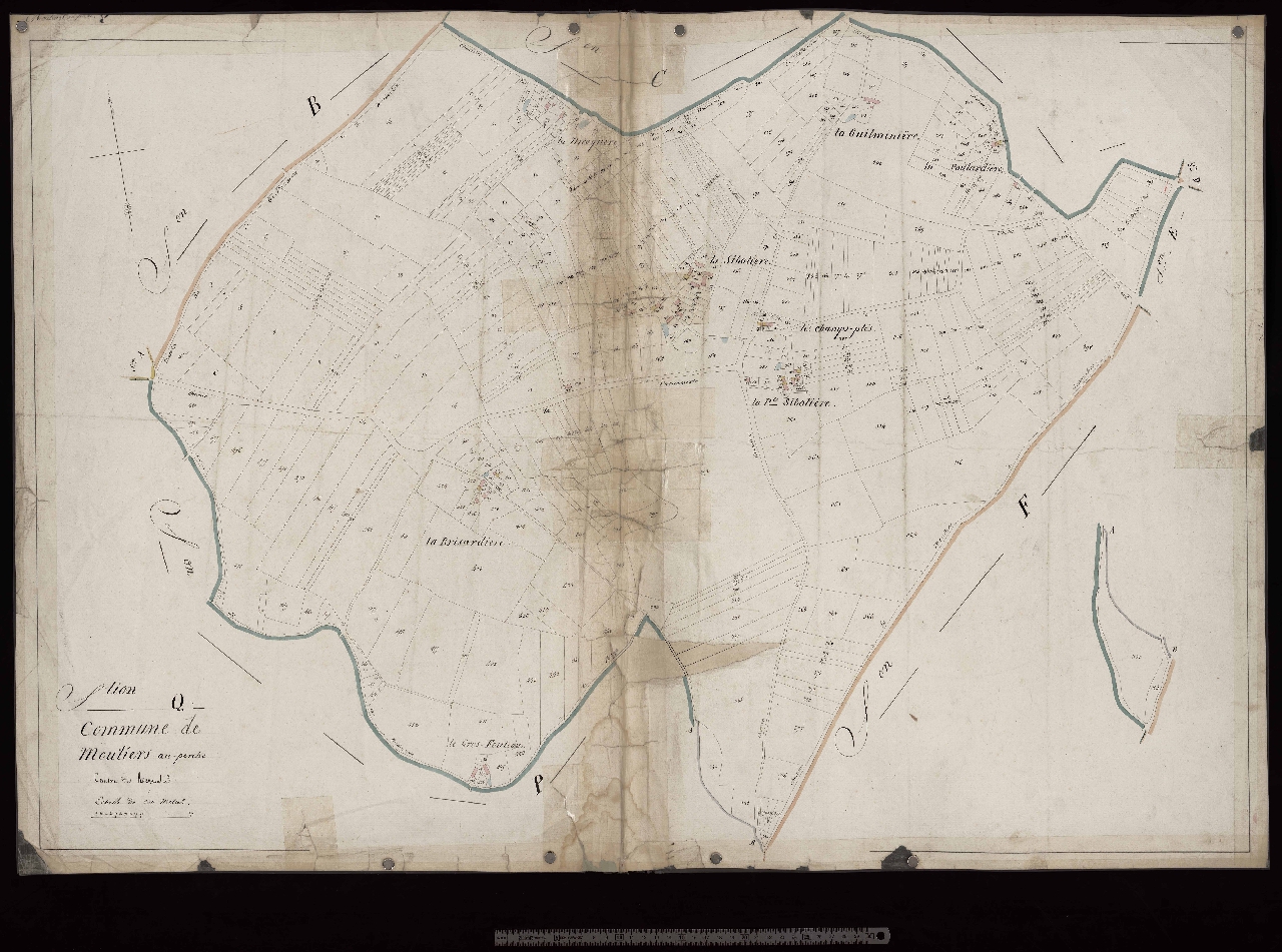 Section Q