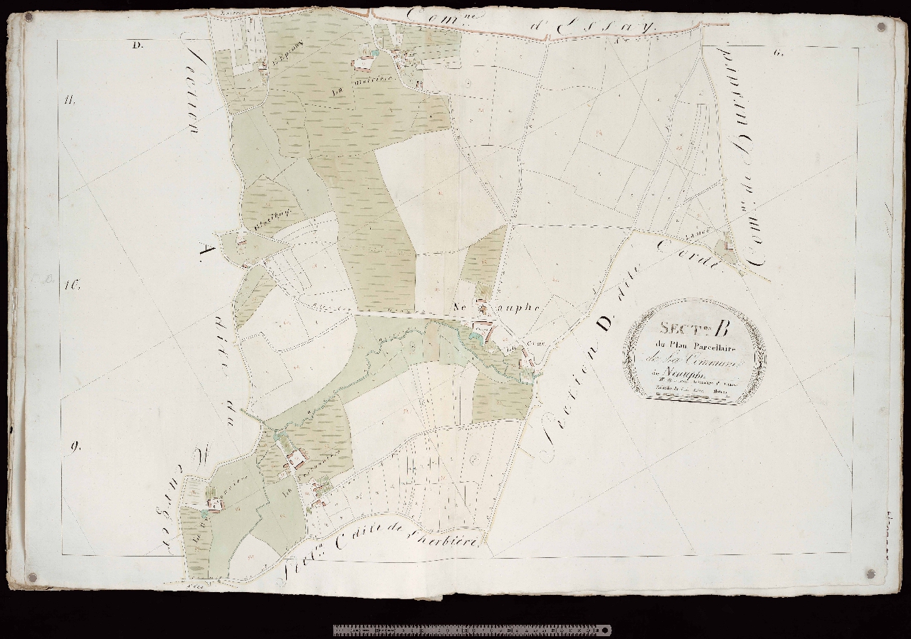 Section B