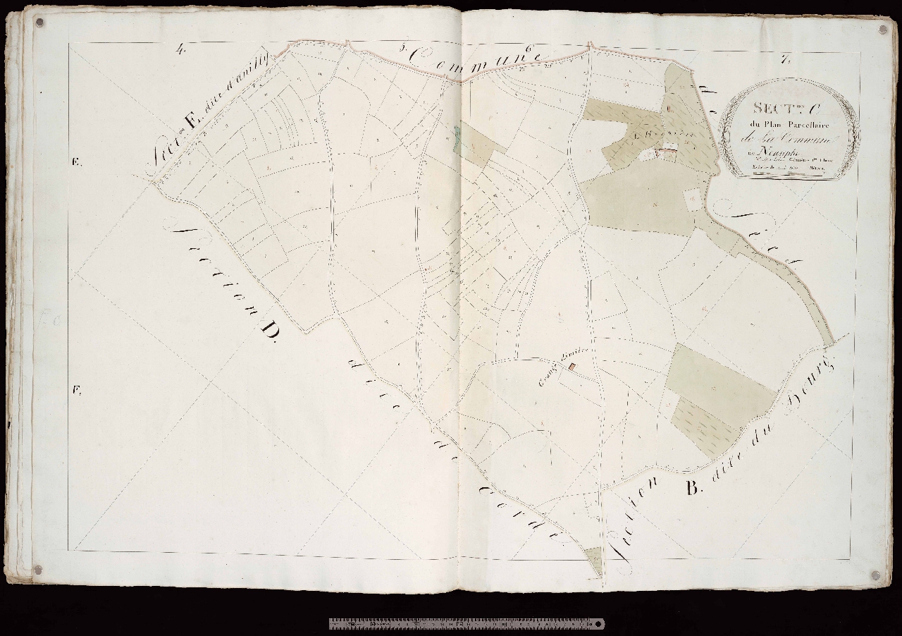 Section C