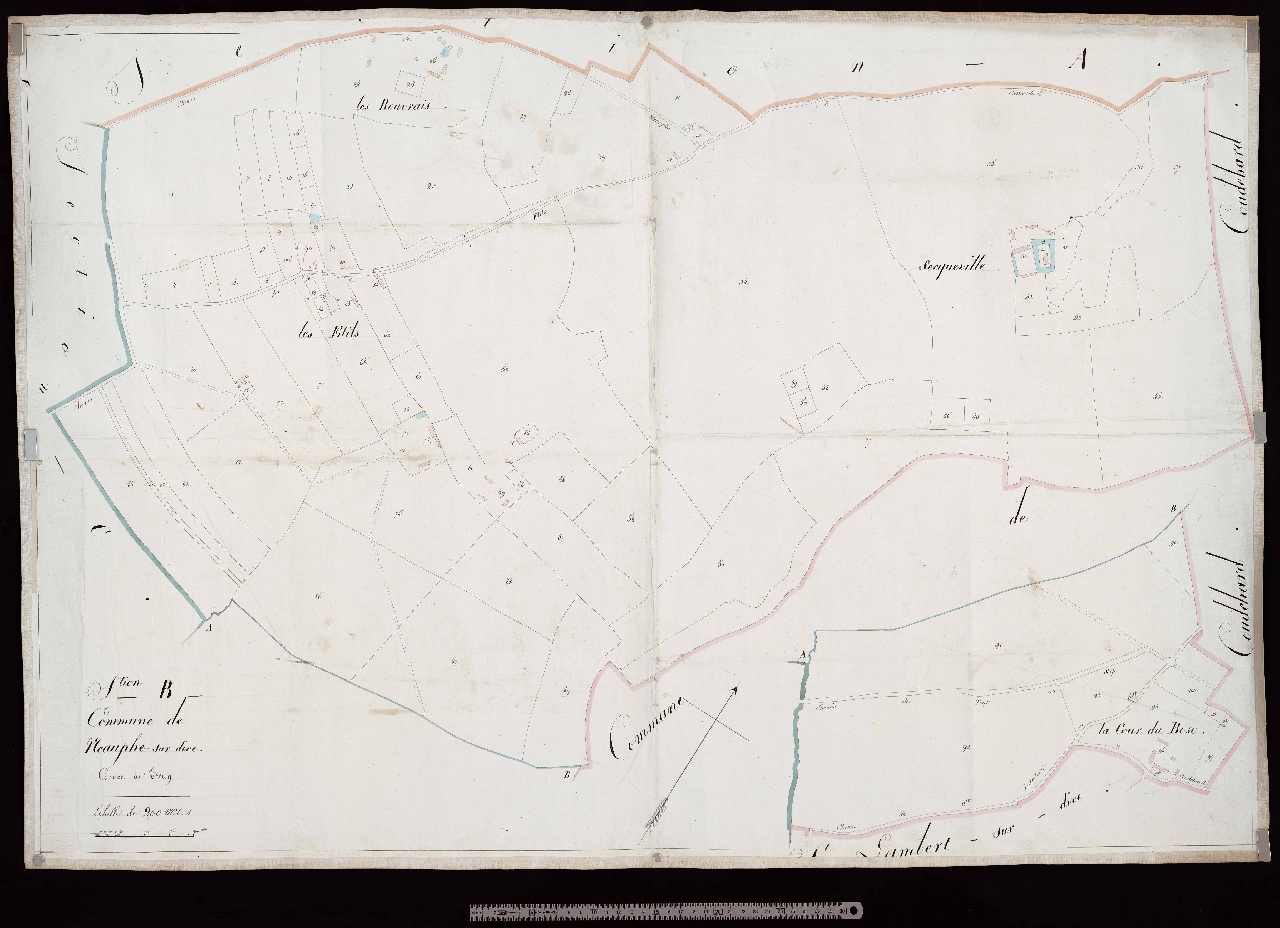Section B