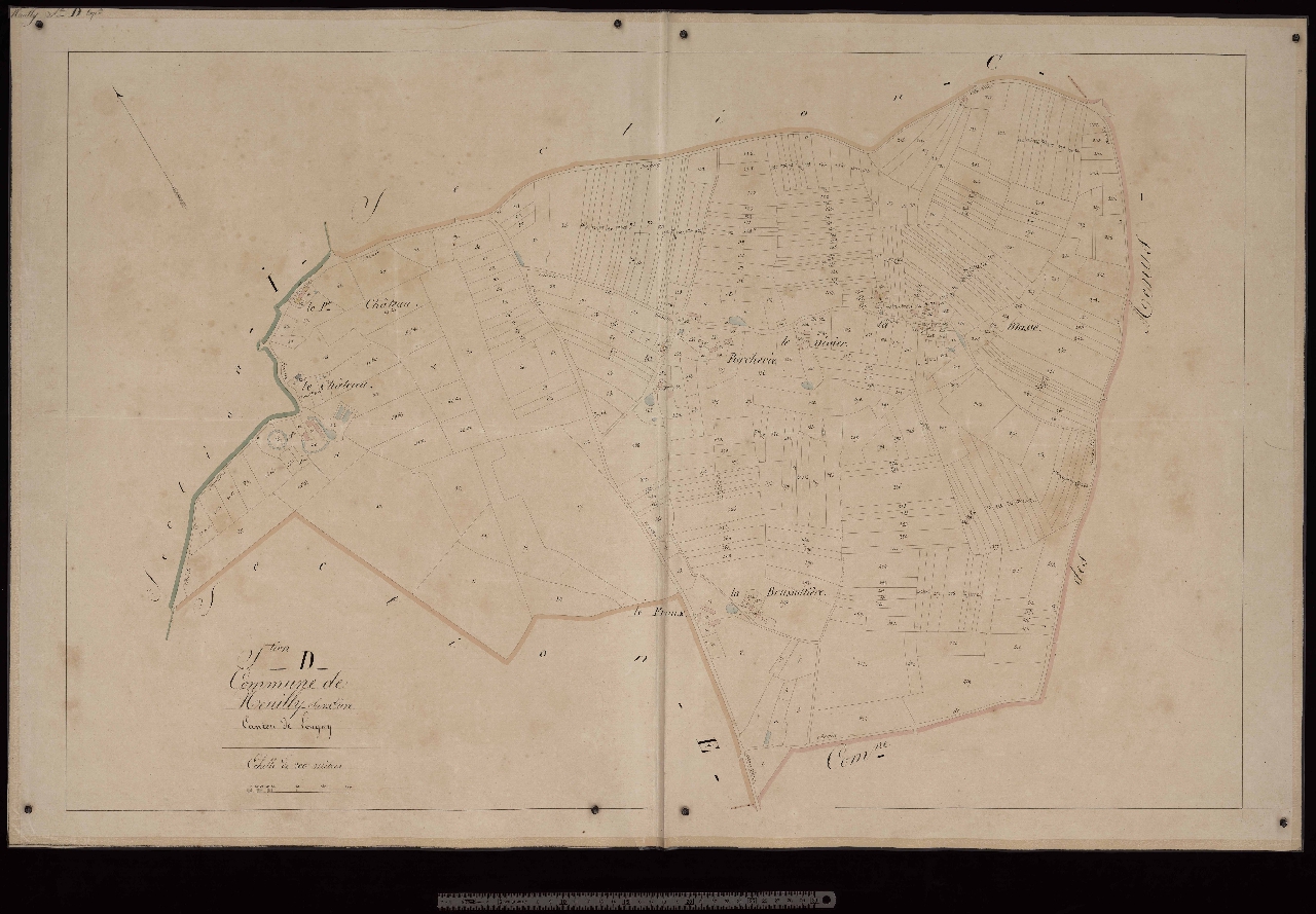 Section D