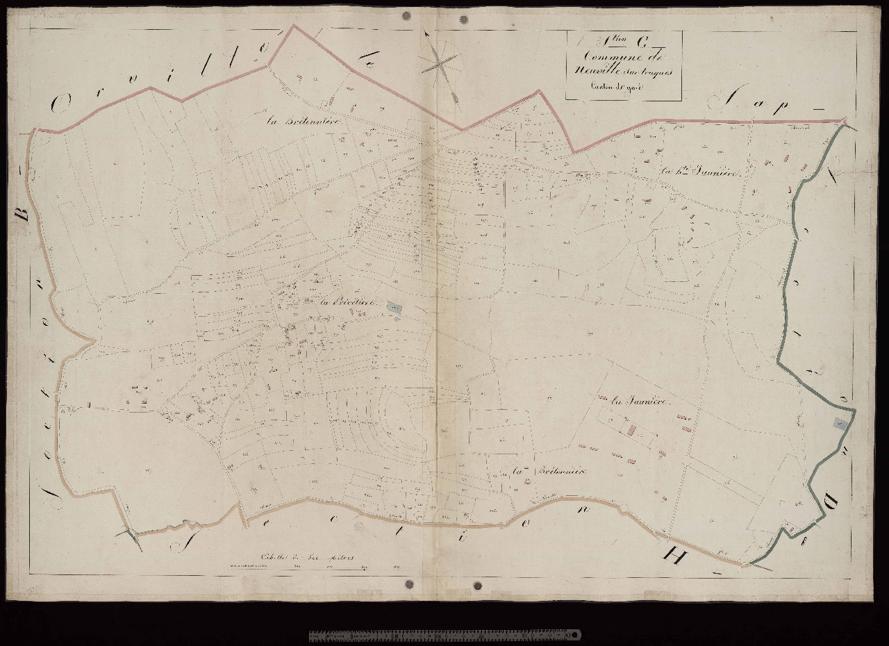 Section C