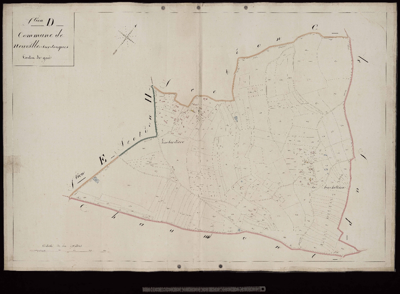 Section D