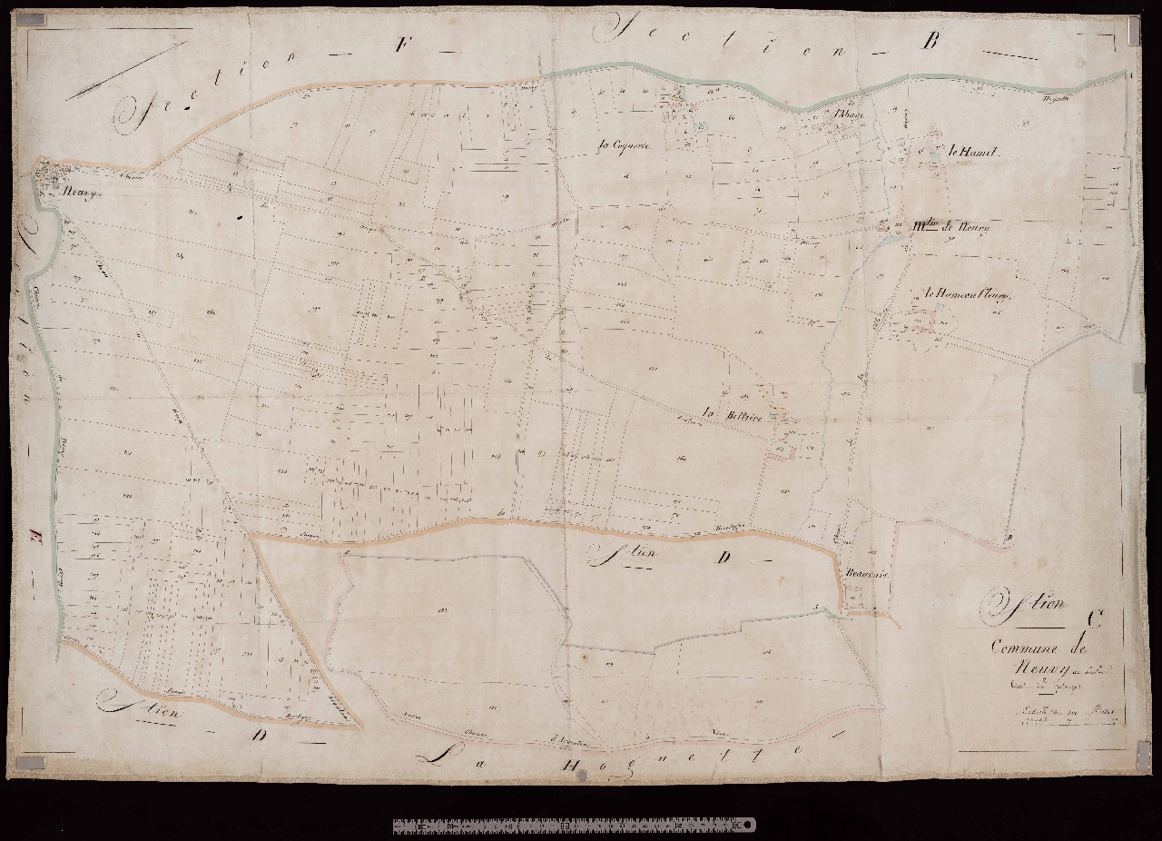 Section C