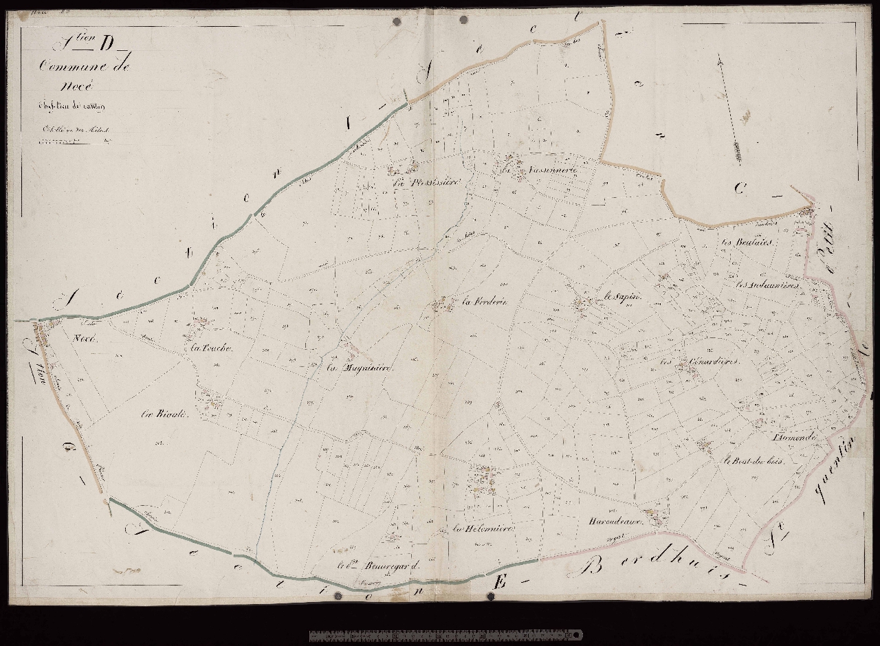 Section D