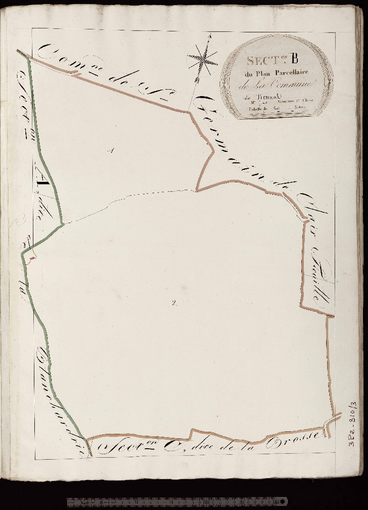 Section B