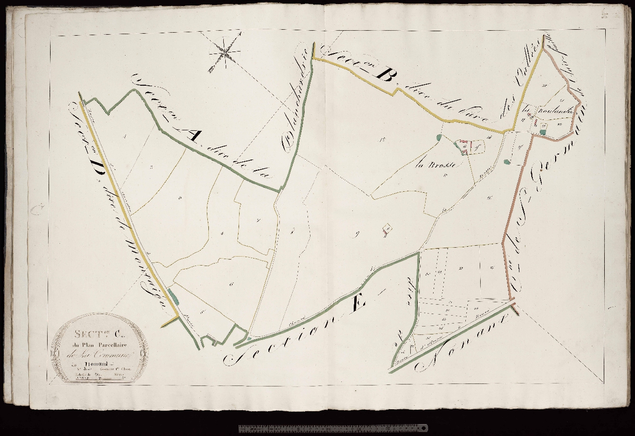 Section C