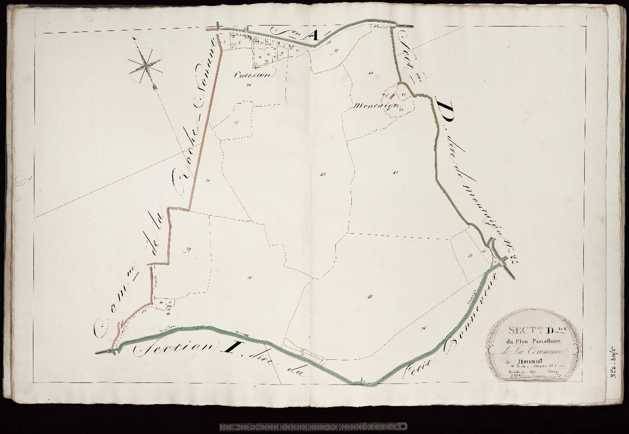 Section D1