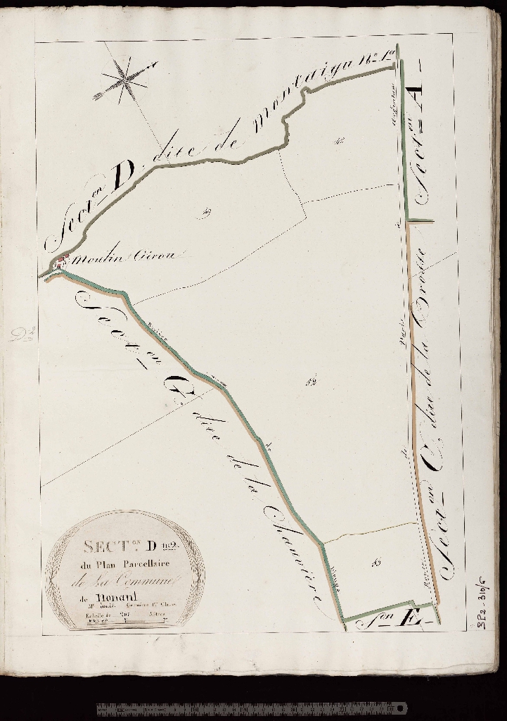Section D2