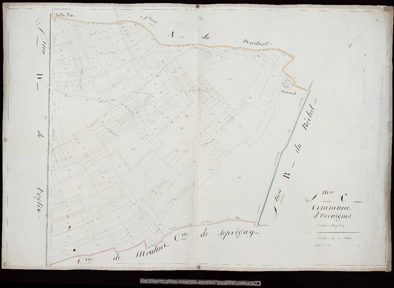Section C