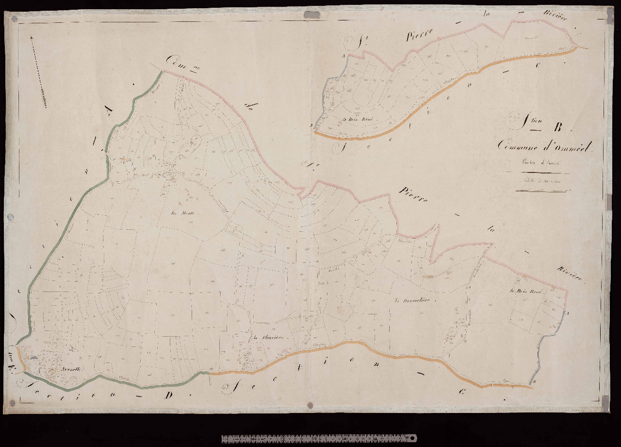 Section B