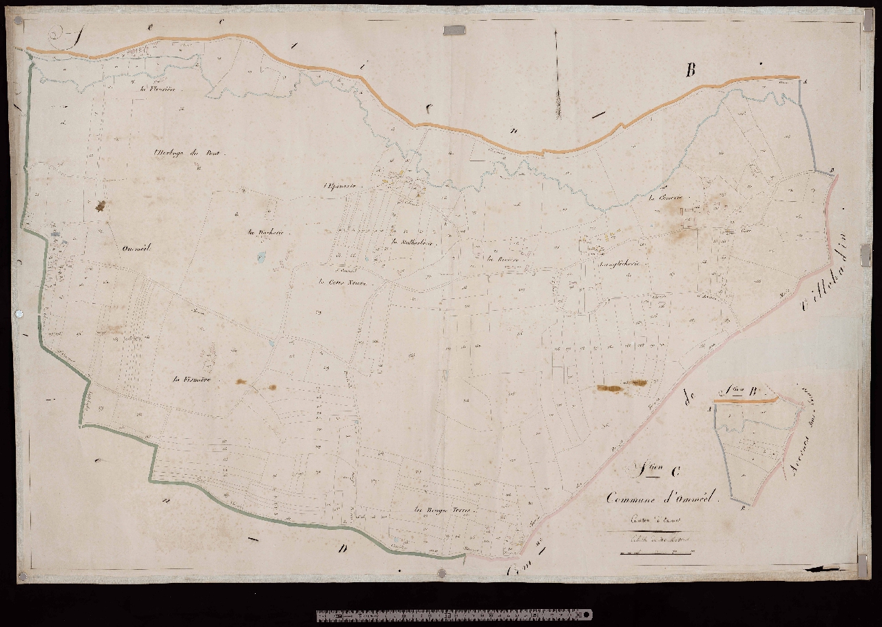 Section C