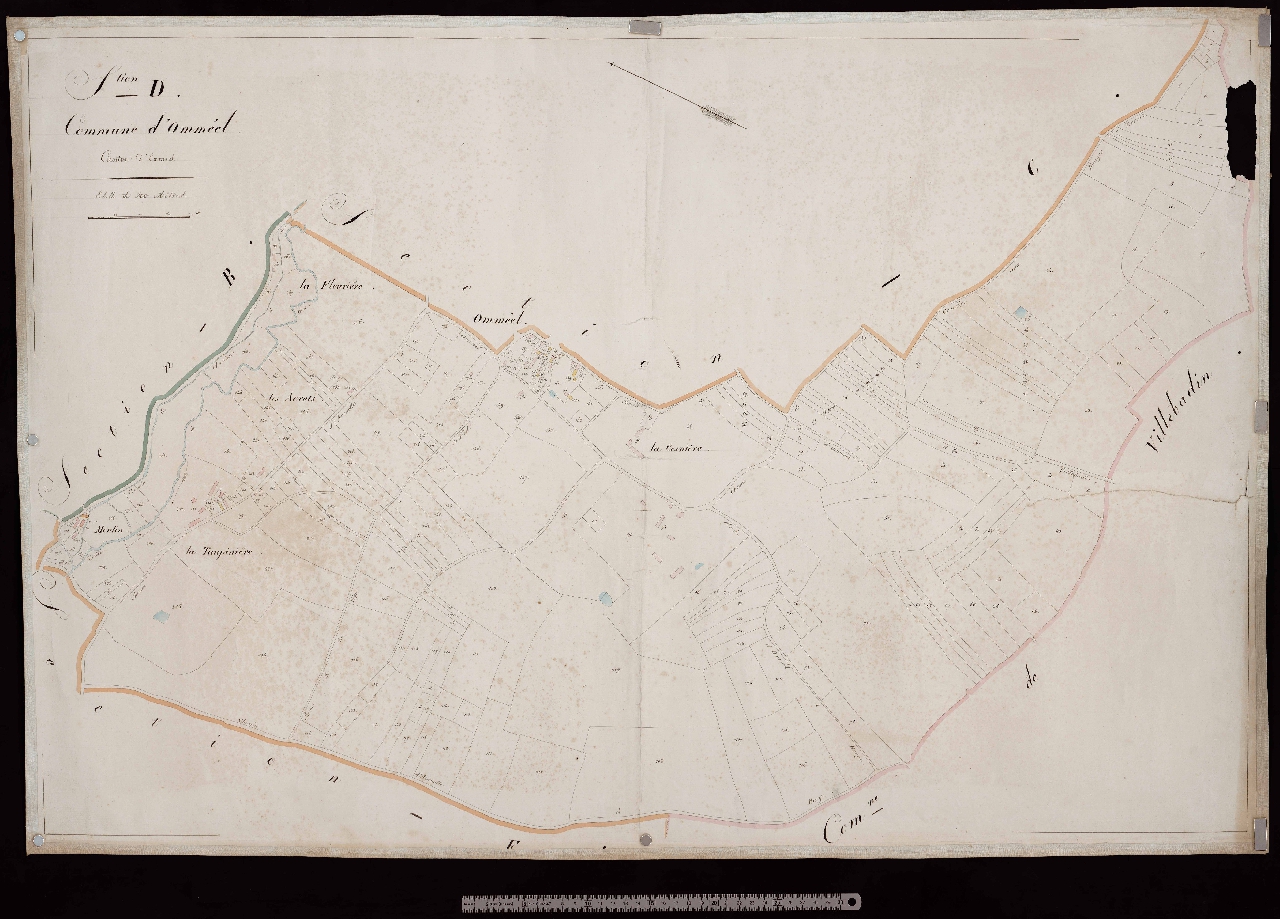 Section D