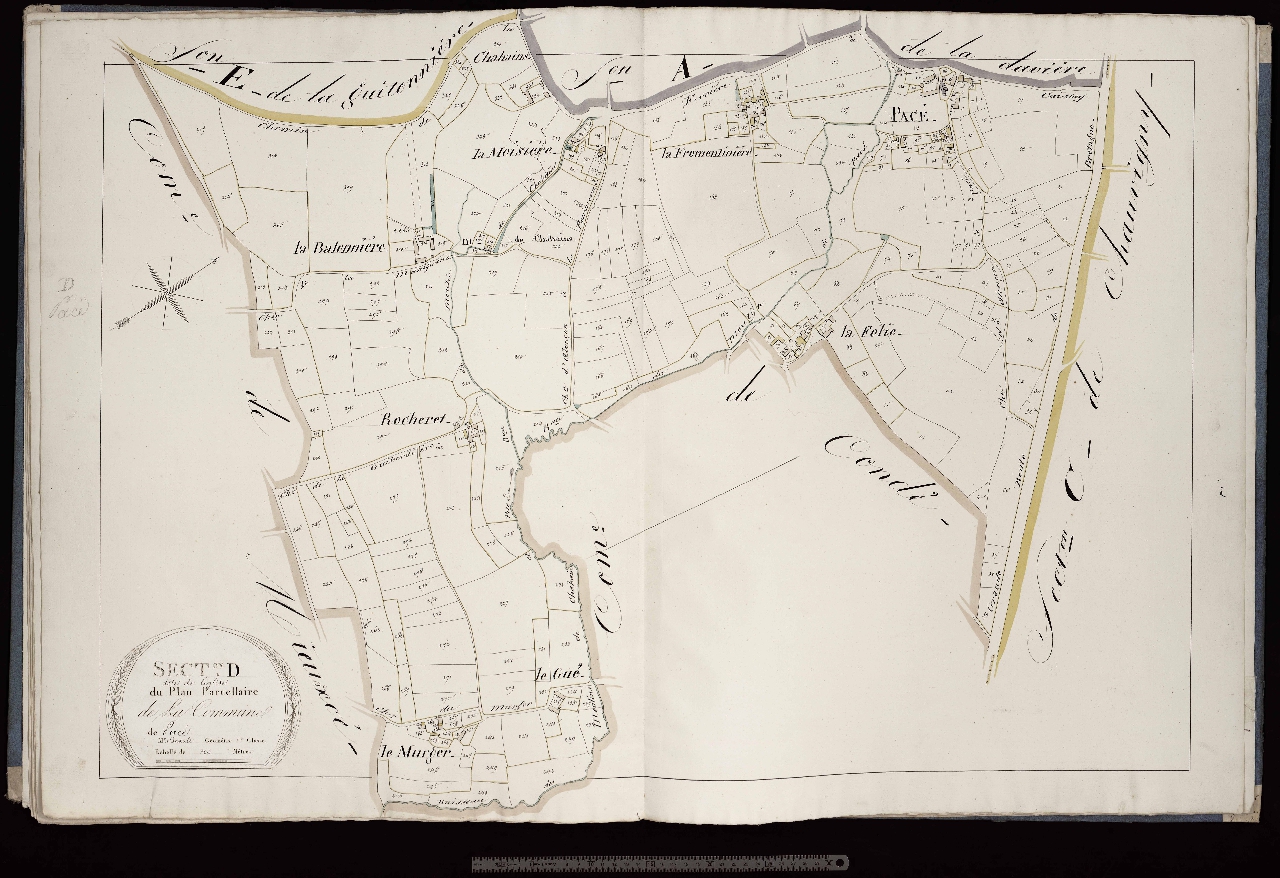 Section D