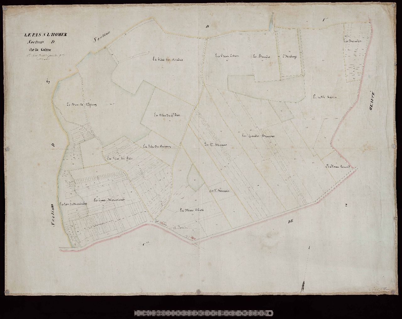 Section D2