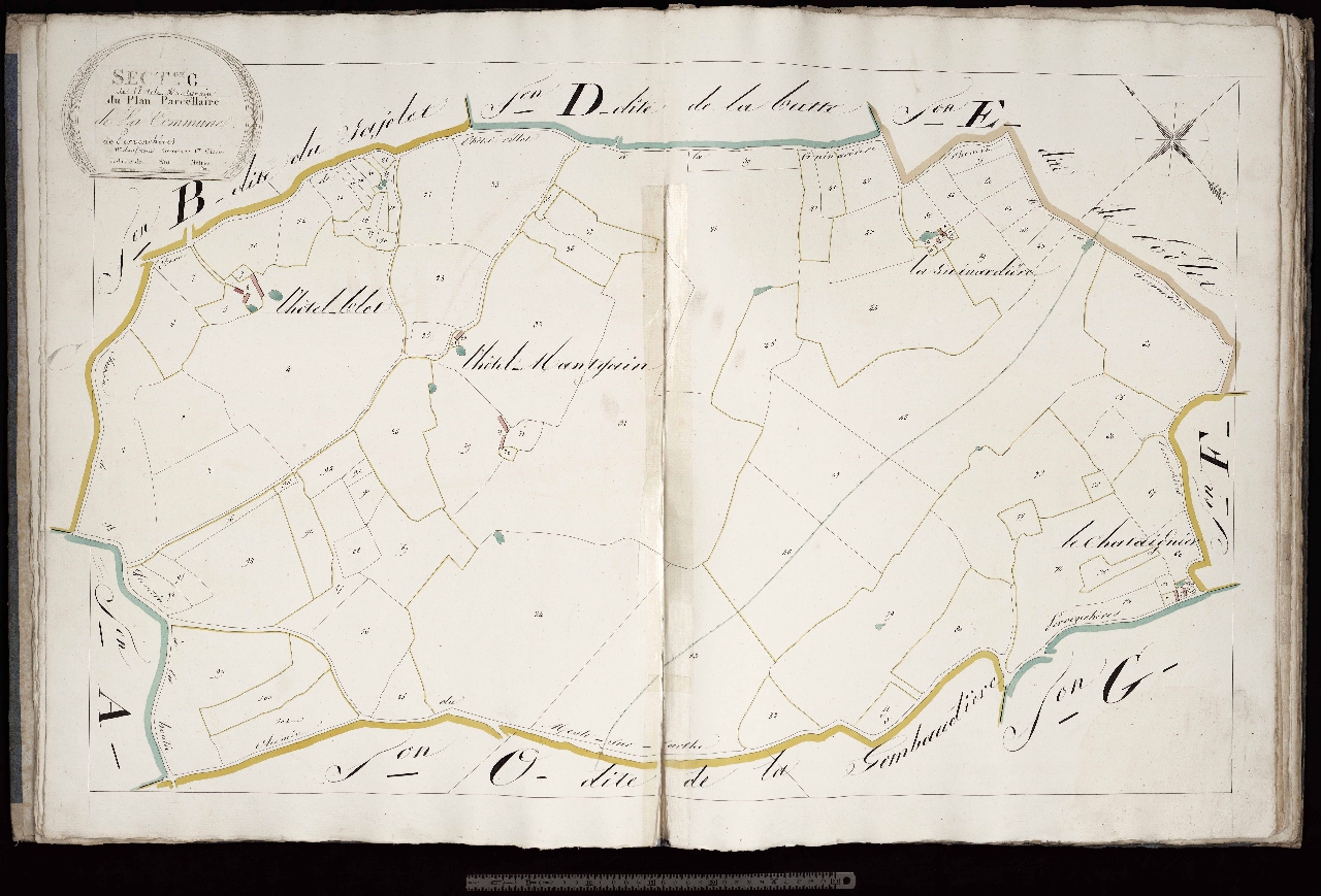 Section C