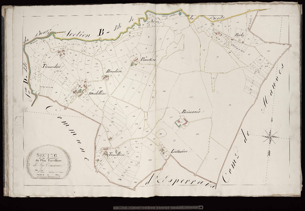 Section C