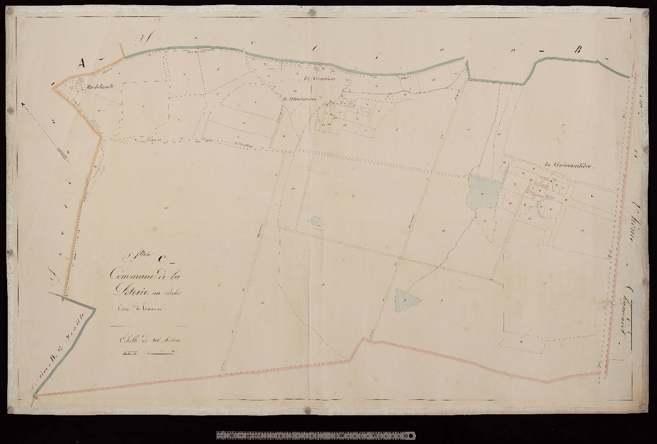 Section C