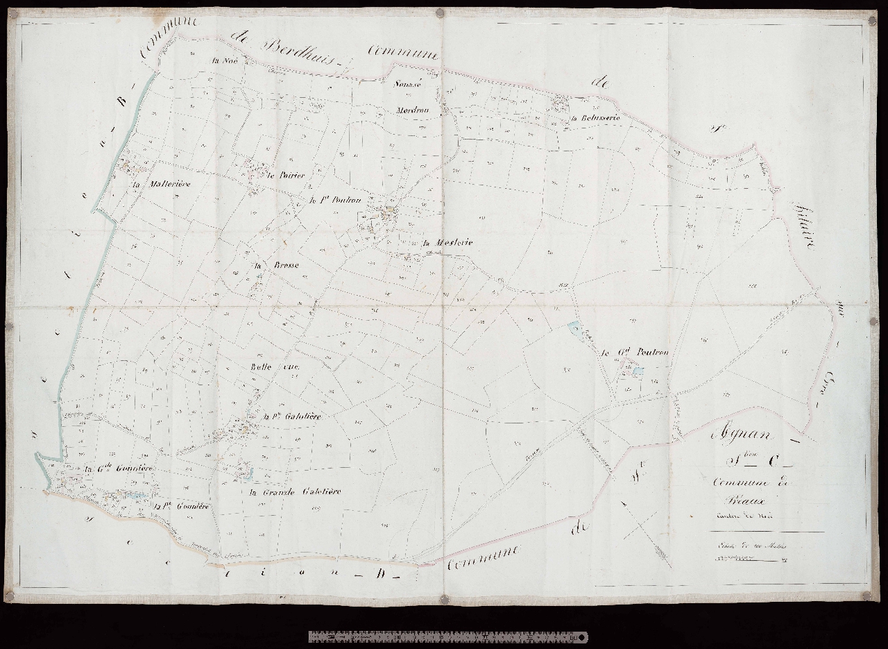 Section C