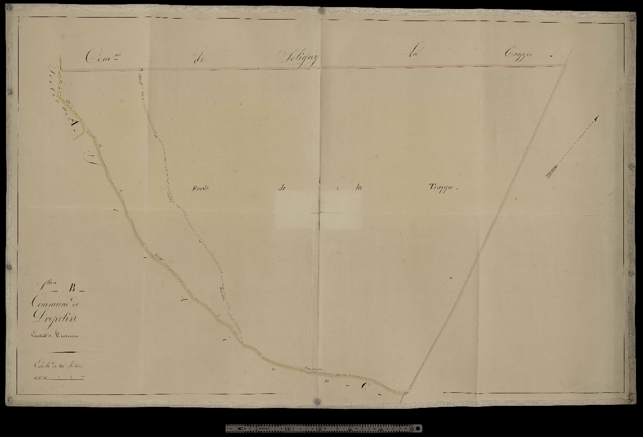 Section B