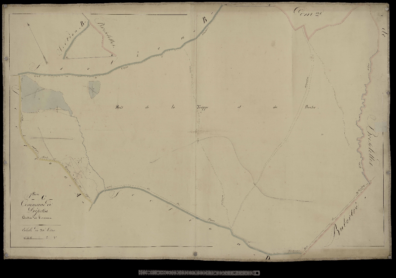 Section C
