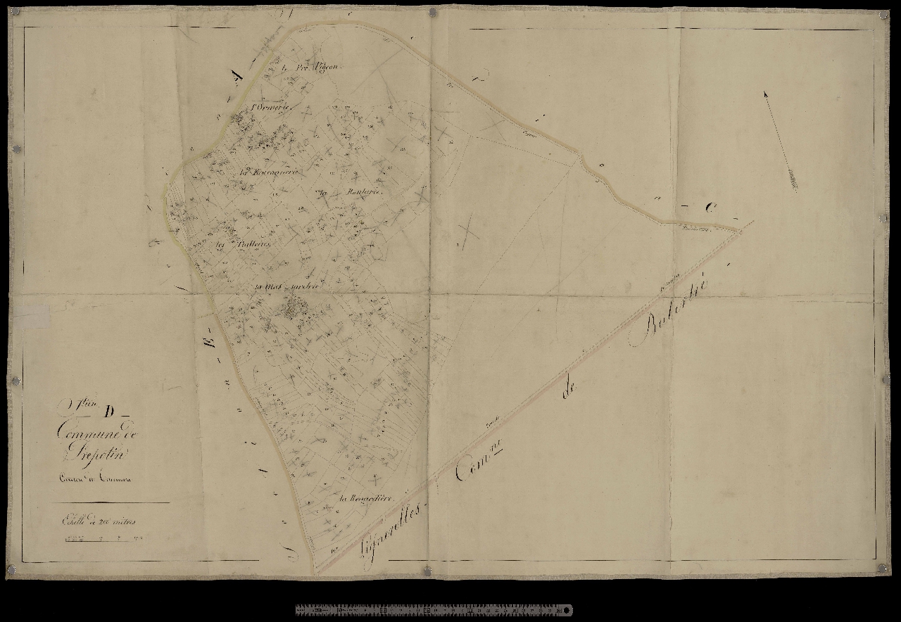 Section D